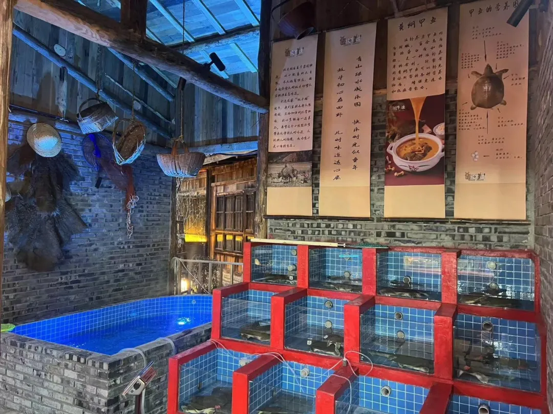 【玩转皇塘、食在老君】一 美食篇（一）-皇塘水乡景区