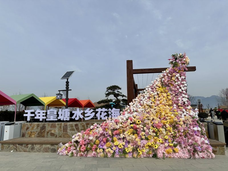 景区咨询