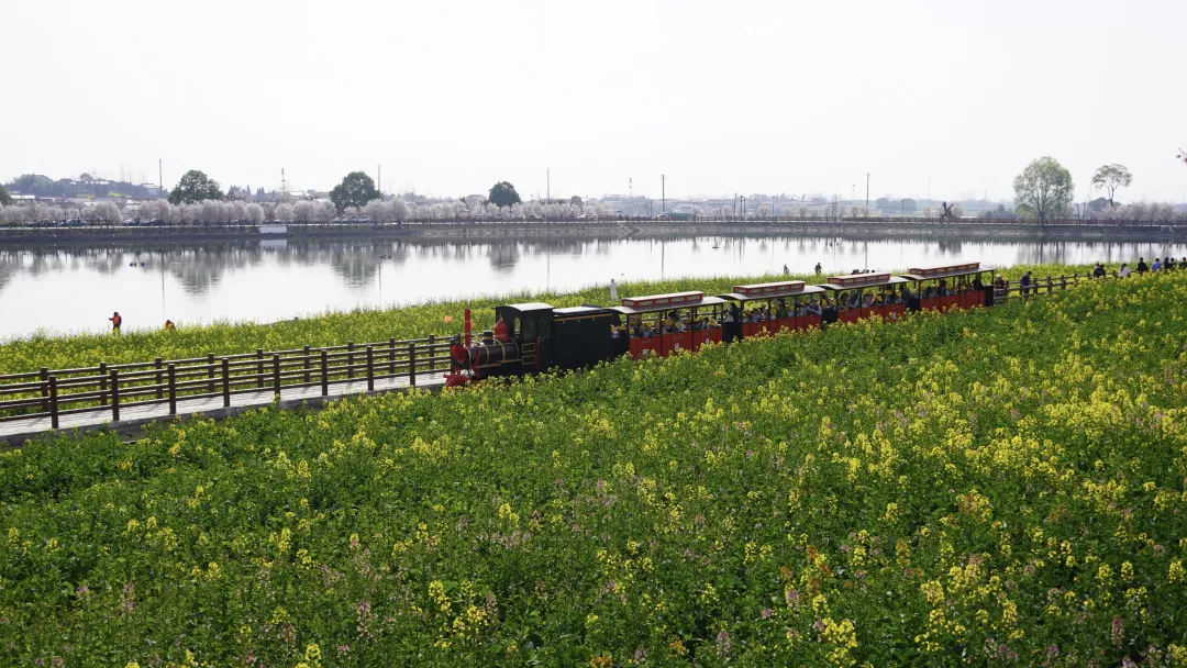 陕西省汉中市汉台区：一城山水蕴文脉 春日风光入画来|皇塘水乡景区