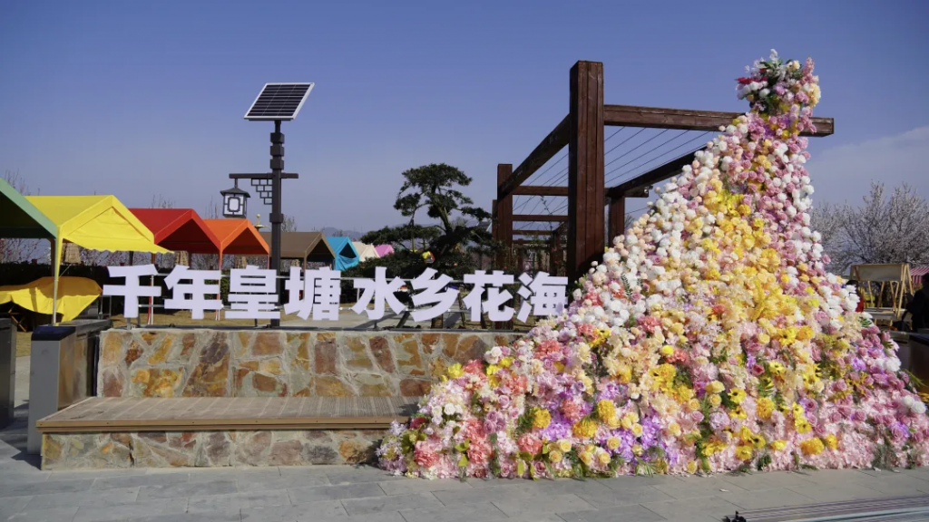 扮美花海春色，喜迎八方游客-皇塘水乡景区