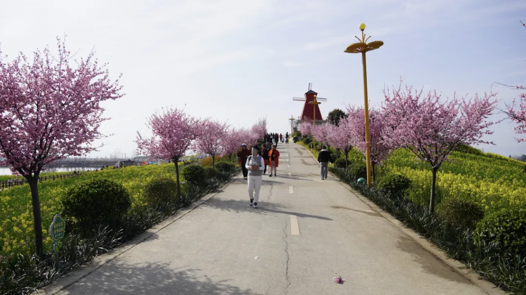 扮美花海春色，喜迎八方游客-皇塘水乡景区